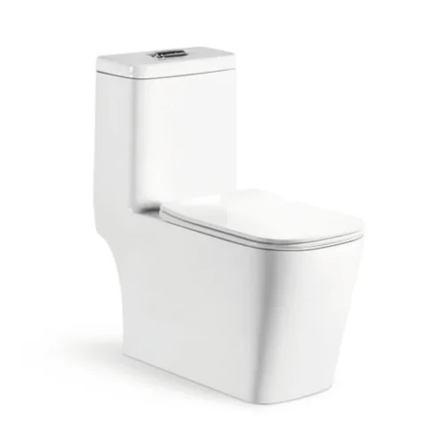 Middle Eastern Toilet Square Rectangular Elongated