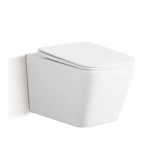 Wall Mounted Toilet Concealed Tank China