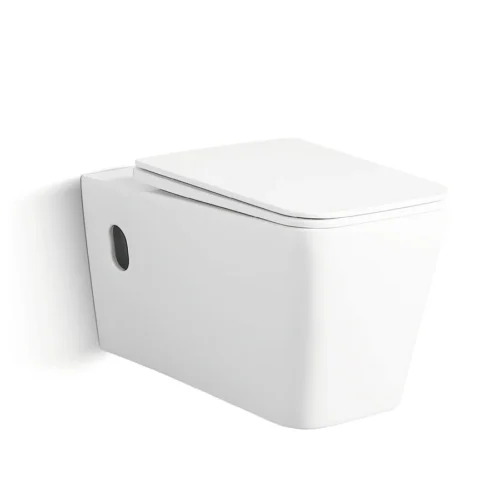 White Wall Mounted Toilet Concealed Tank China