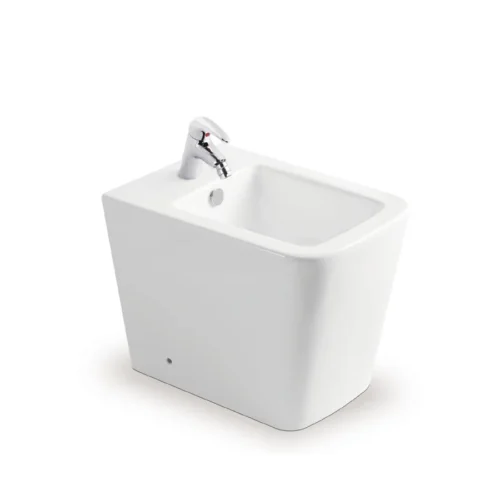 Bidet Toilet Manufacturer China Factory